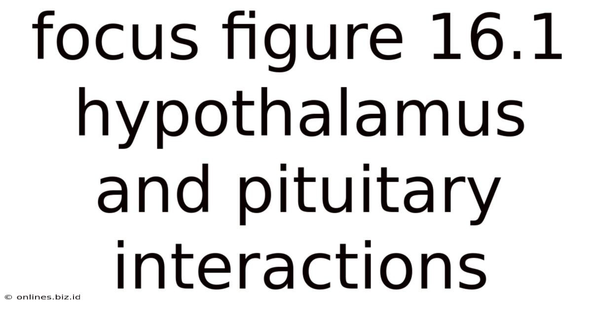 Focus Figure 16.1 Hypothalamus And Pituitary Interactions