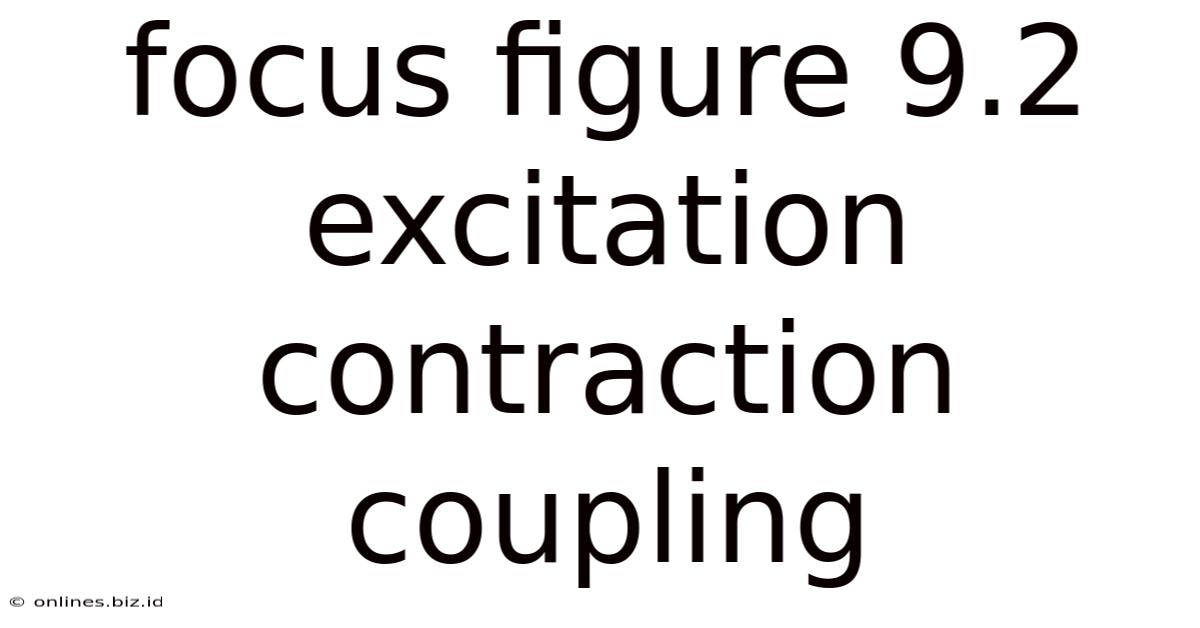 Focus Figure 9.2 Excitation Contraction Coupling