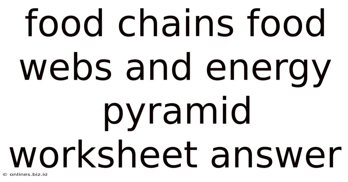 Food Chains Food Webs And Energy Pyramid Worksheet Answer