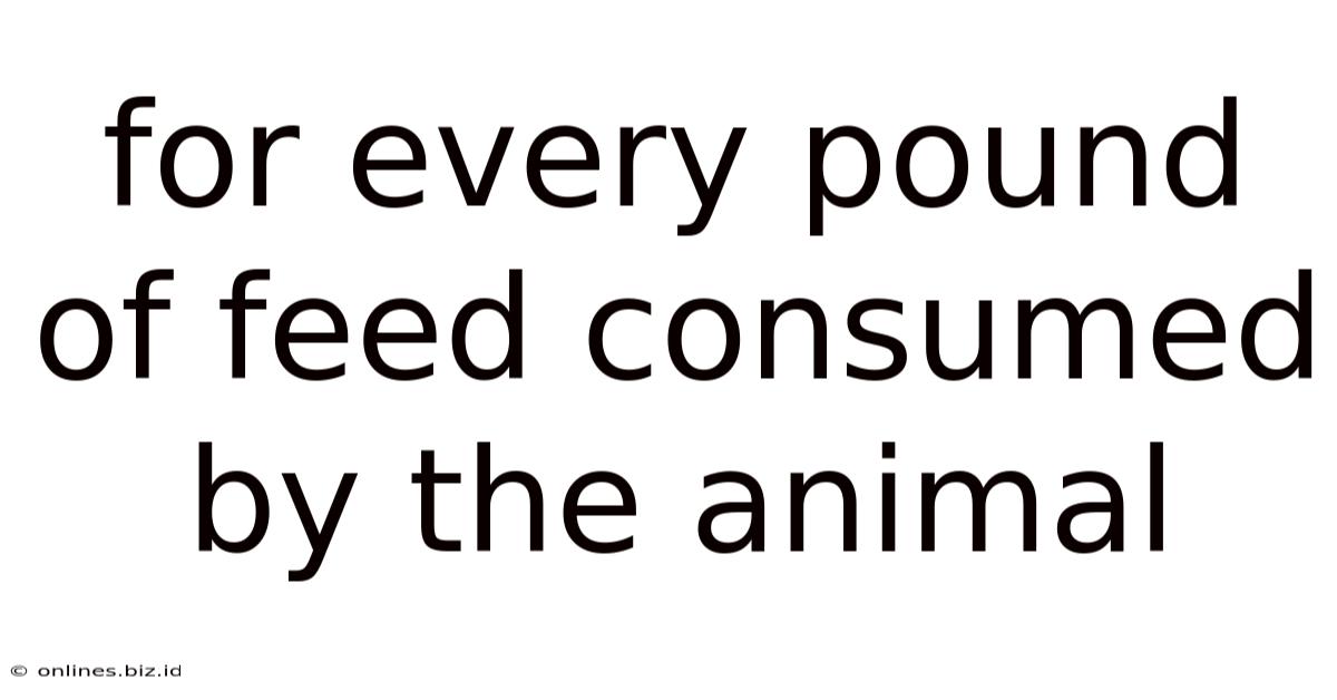 For Every Pound Of Feed Consumed By The Animal