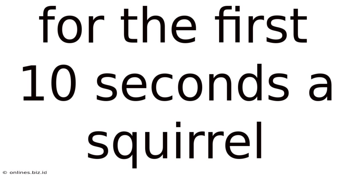 For The First 10 Seconds A Squirrel