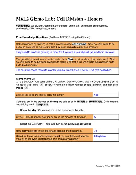 Free Fall Tower Gizmo Answer Key