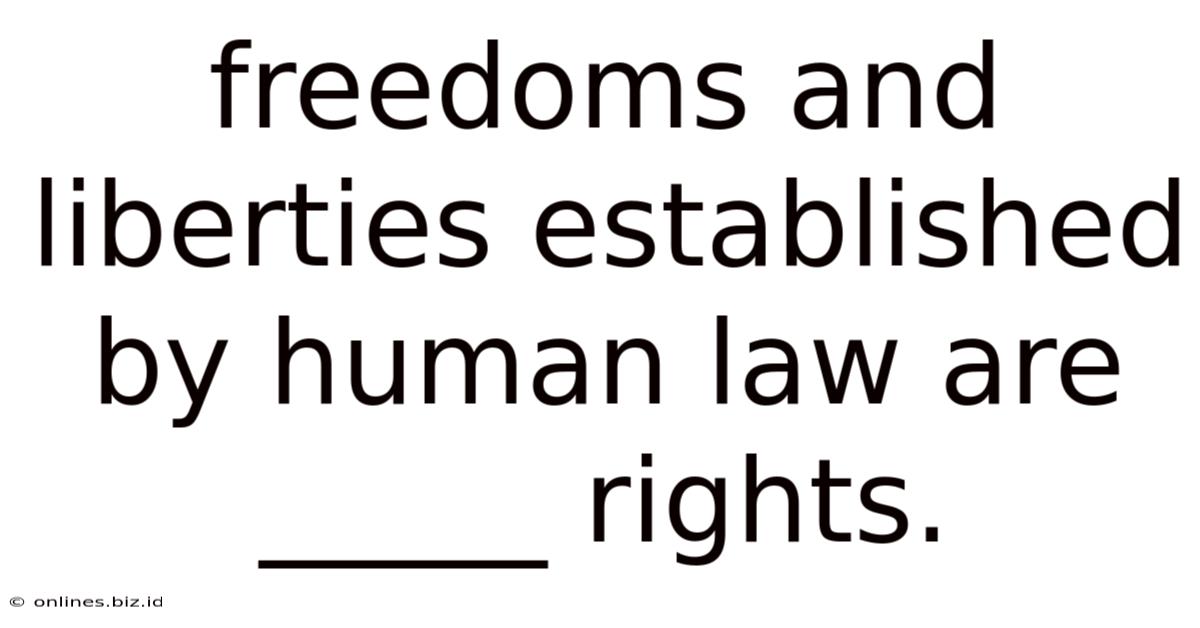 Freedoms And Liberties Established By Human Law Are _____ Rights.