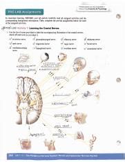 From-the-book Pre-lab Unit 16 Activity 4 Question 1