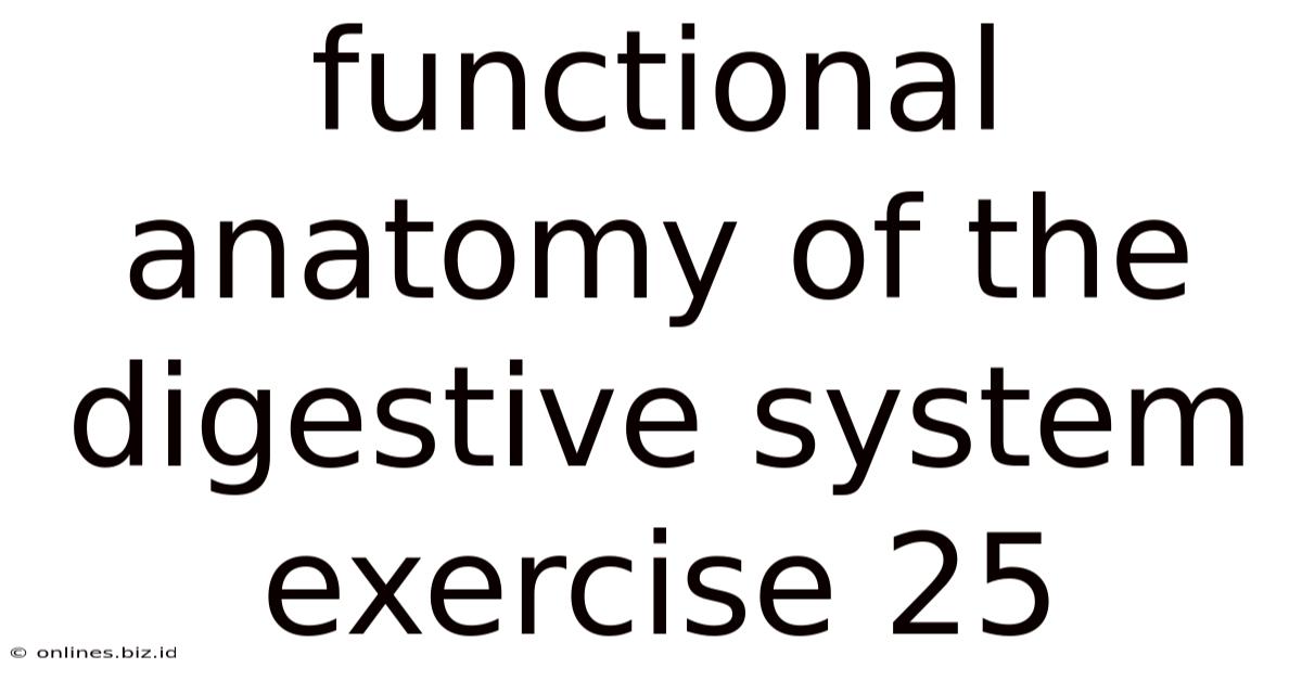 Functional Anatomy Of The Digestive System Exercise 25