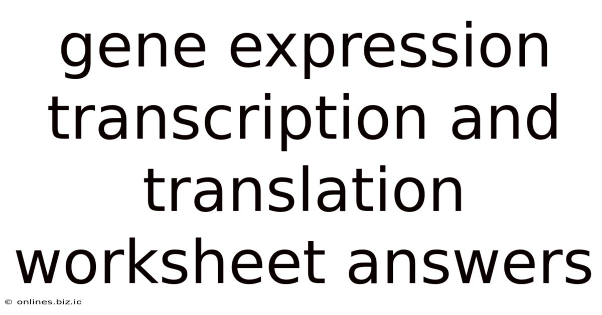 Gene Expression Transcription And Translation Worksheet Answers