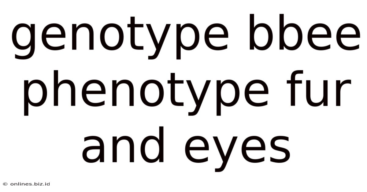 Genotype Bbee Phenotype Fur And Eyes