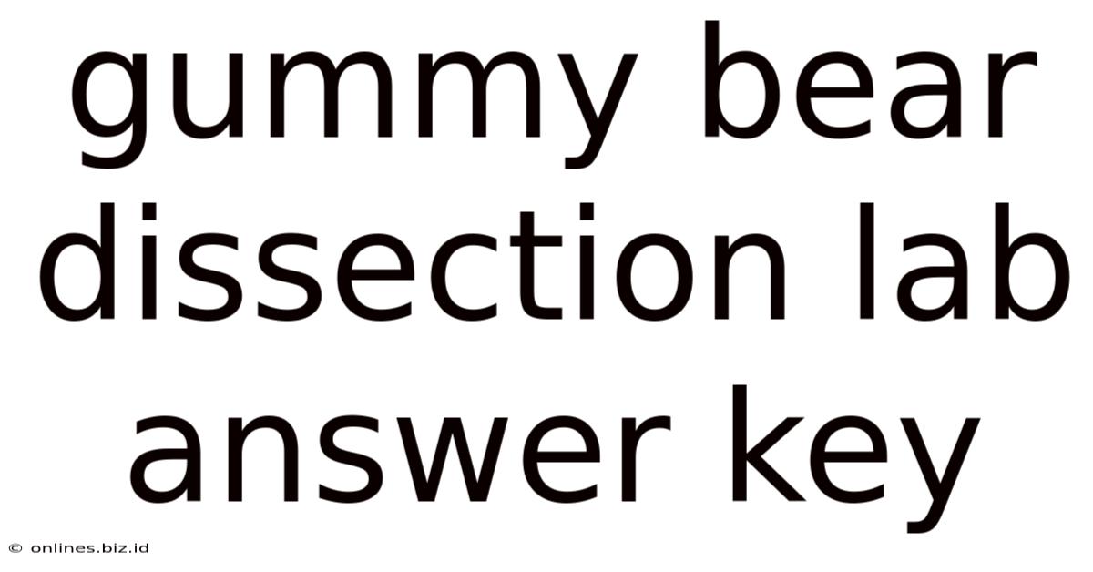 Gummy Bear Dissection Lab Answer Key