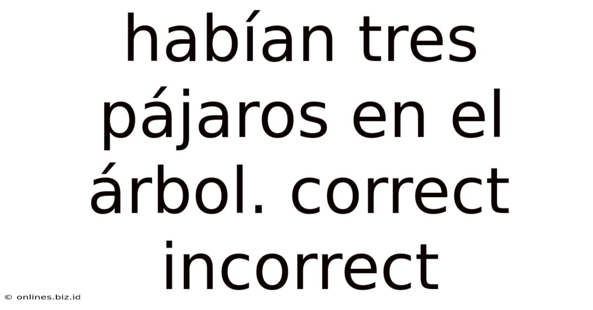 Habían Tres Pájaros En El Árbol. Correct Incorrect