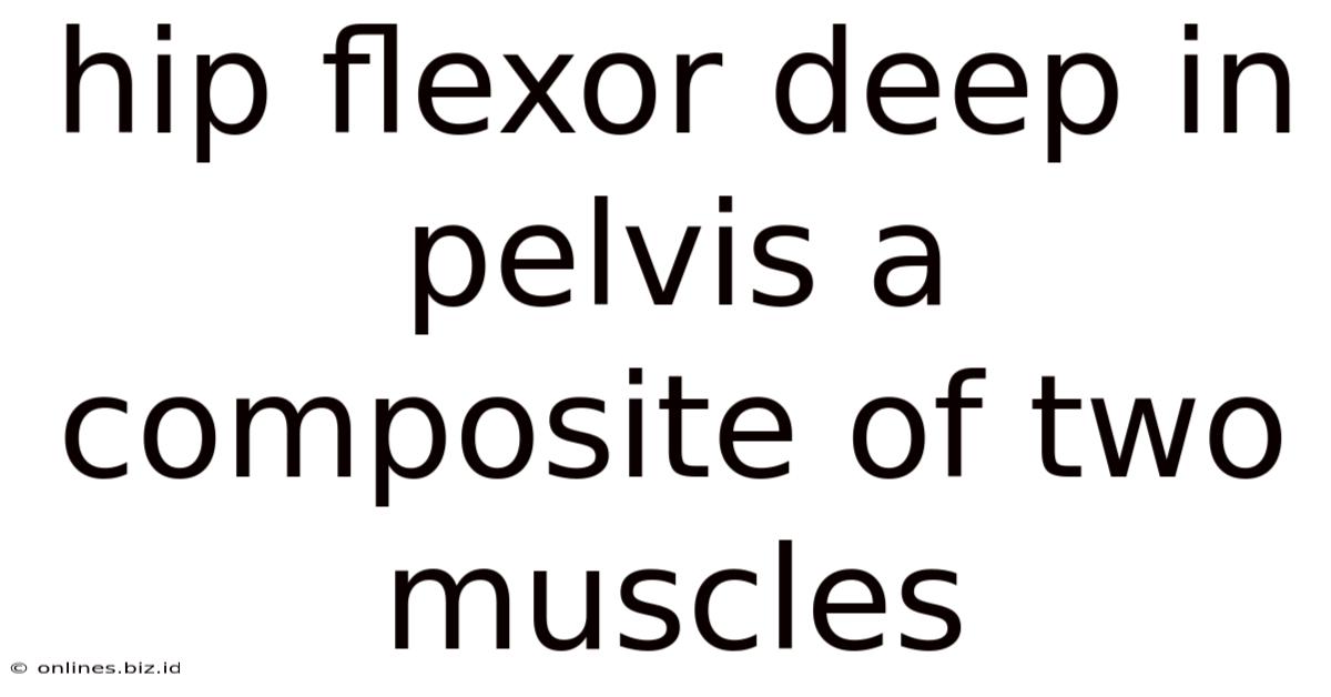 Hip Flexor Deep In Pelvis A Composite Of Two Muscles