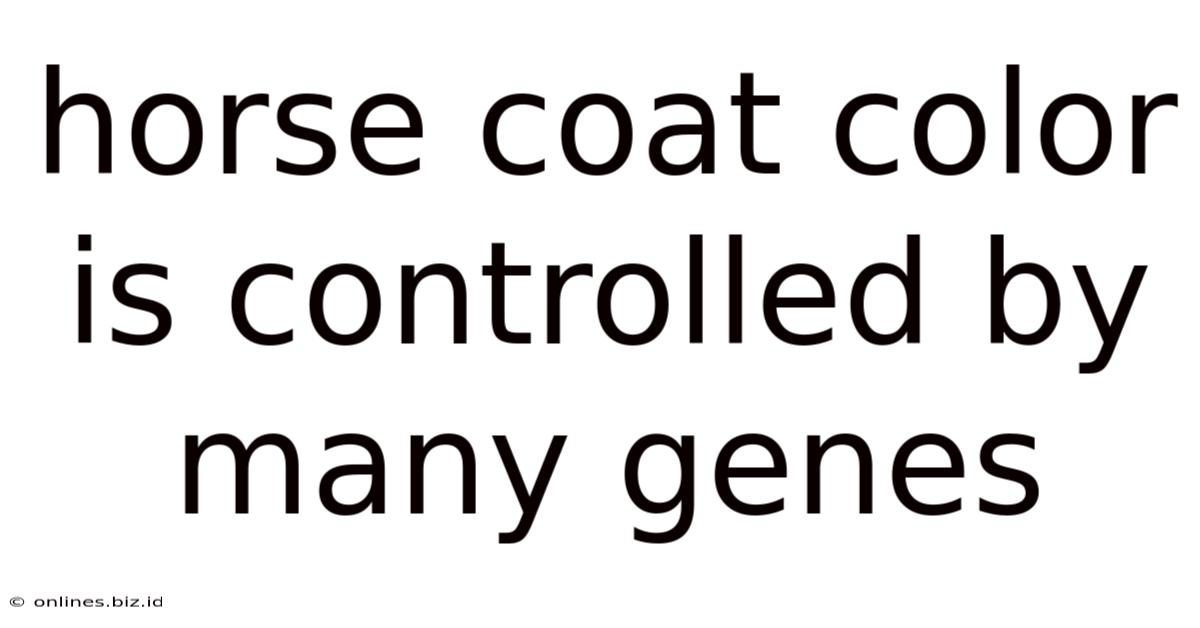 Horse Coat Color Is Controlled By Many Genes