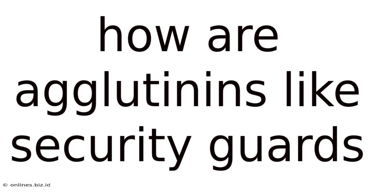 How Are Agglutinins Like Security Guards