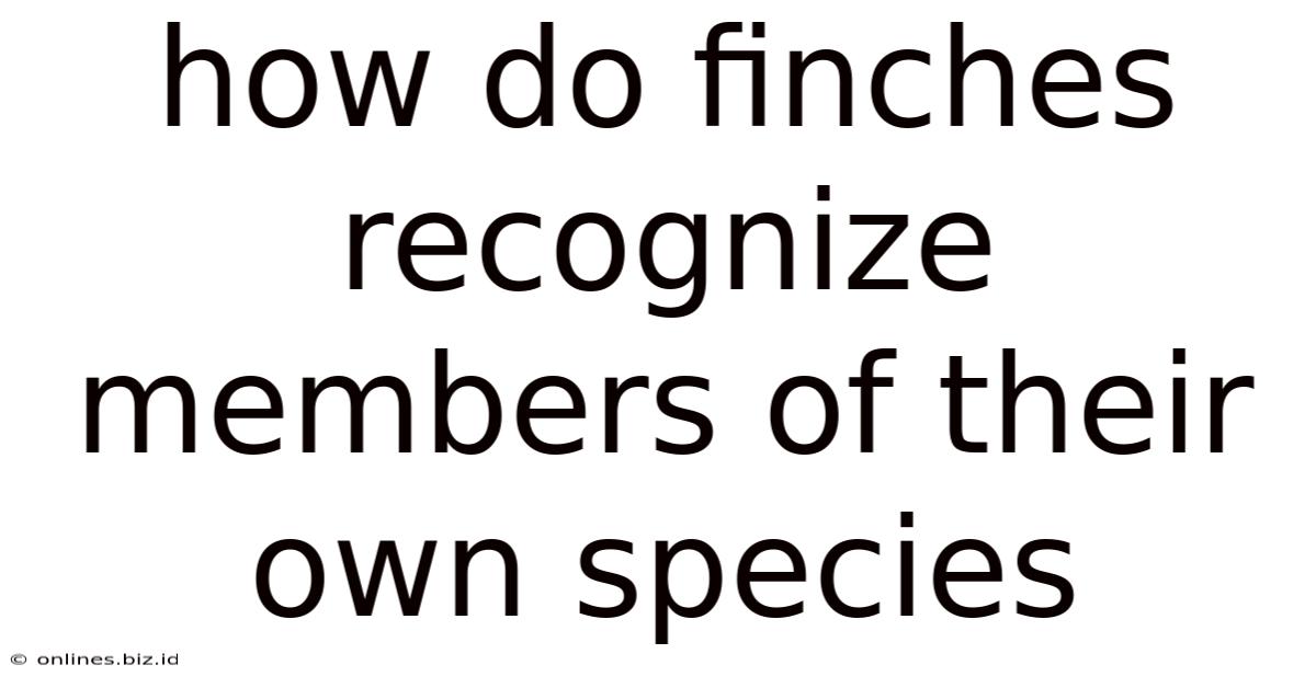 How Do Finches Recognize Members Of Their Own Species