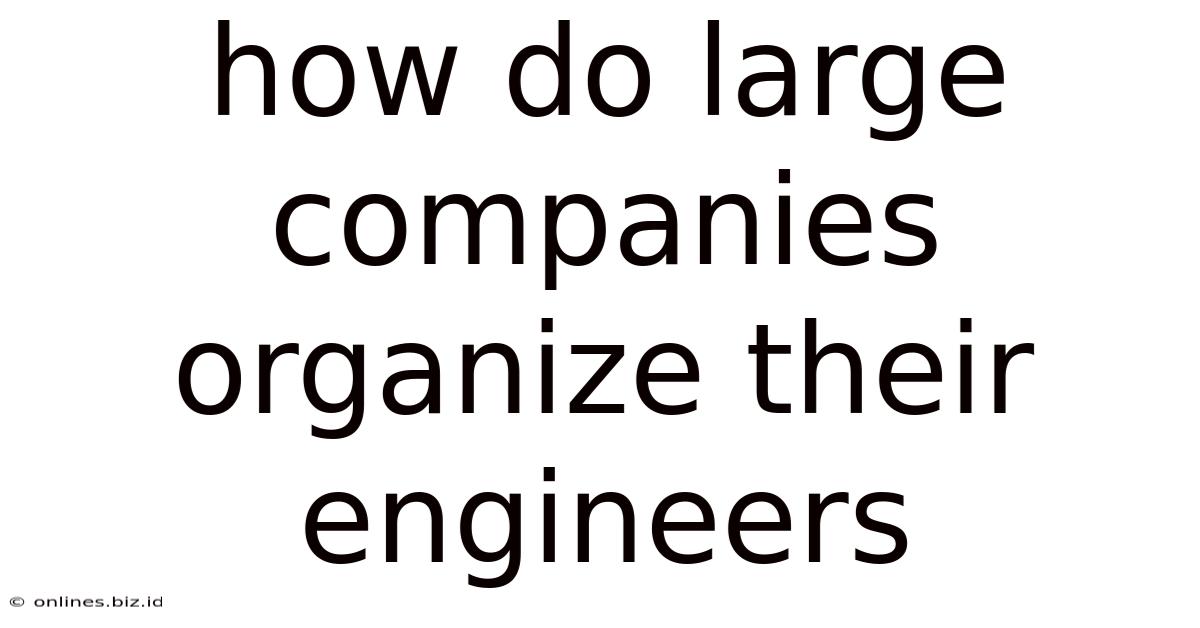 How Do Large Companies Organize Their Engineers