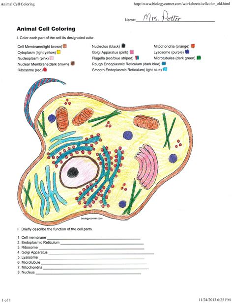 How Do Some Cells Affect Mouse Color Answer Key