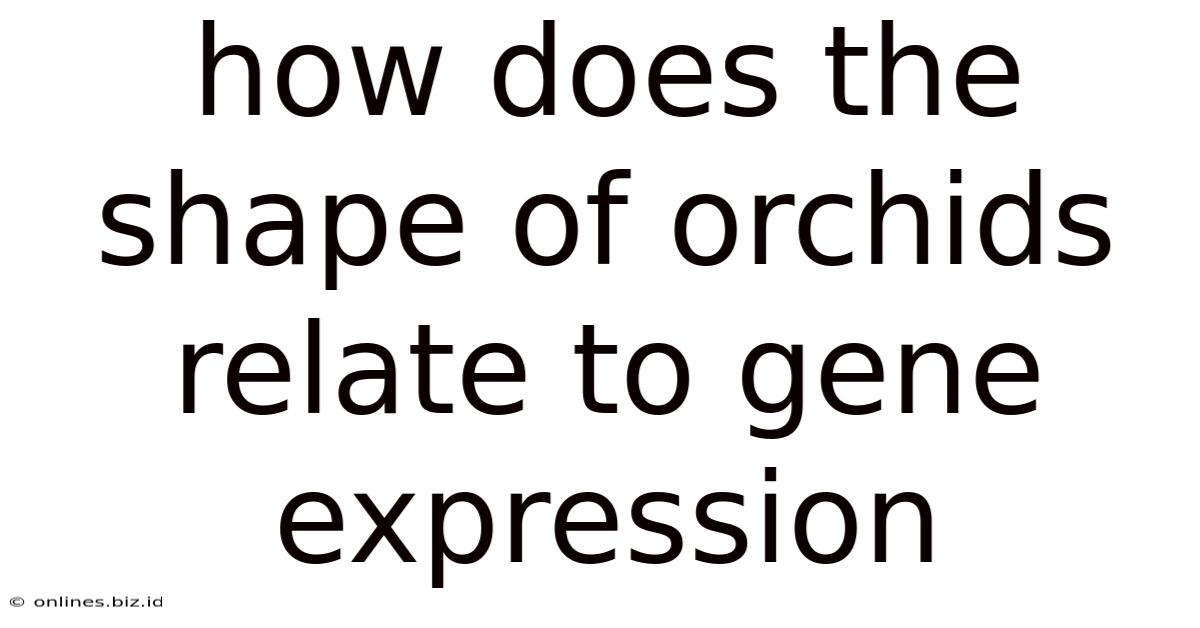 How Does The Shape Of Orchids Relate To Gene Expression
