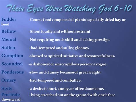 How Many Chapters Are In Their Eyes Were Watching God