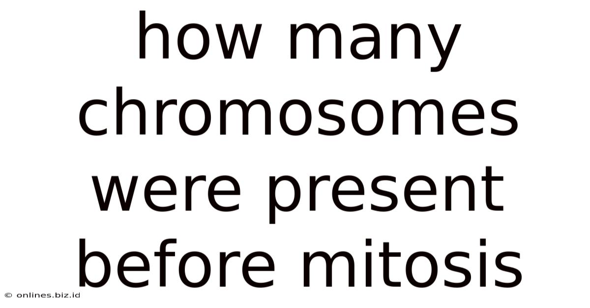How Many Chromosomes Were Present Before Mitosis