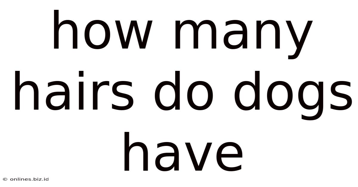 How Many Hairs Do Dogs Have