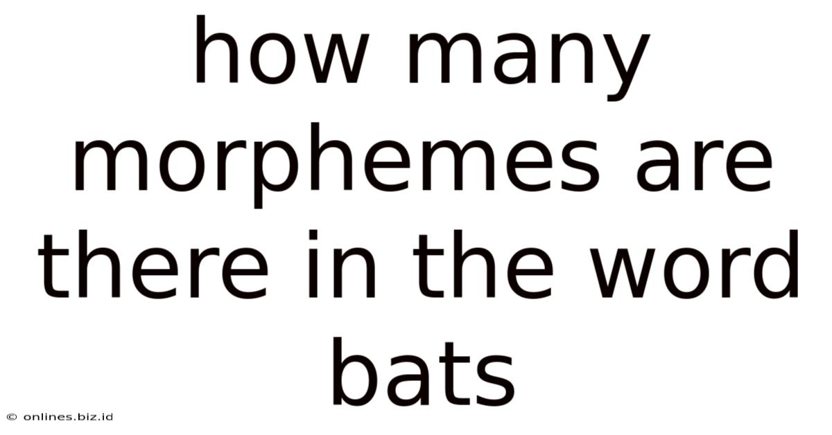 How Many Morphemes Are There In The Word Bats
