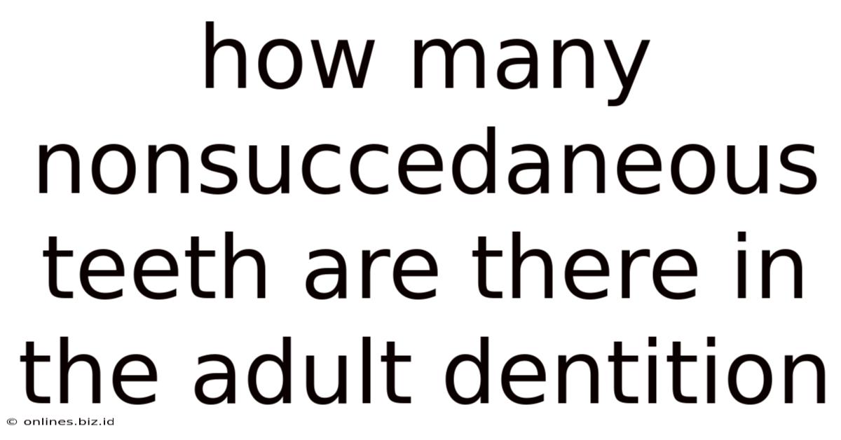 How Many Nonsuccedaneous Teeth Are There In The Adult Dentition