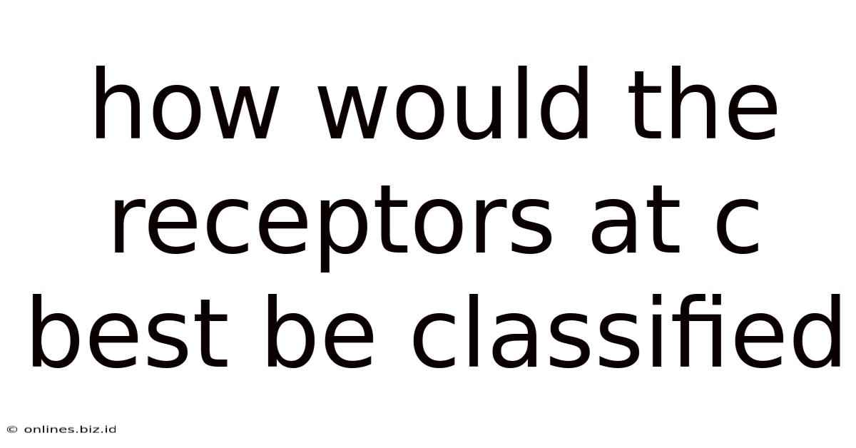 How Would The Receptors At C Best Be Classified