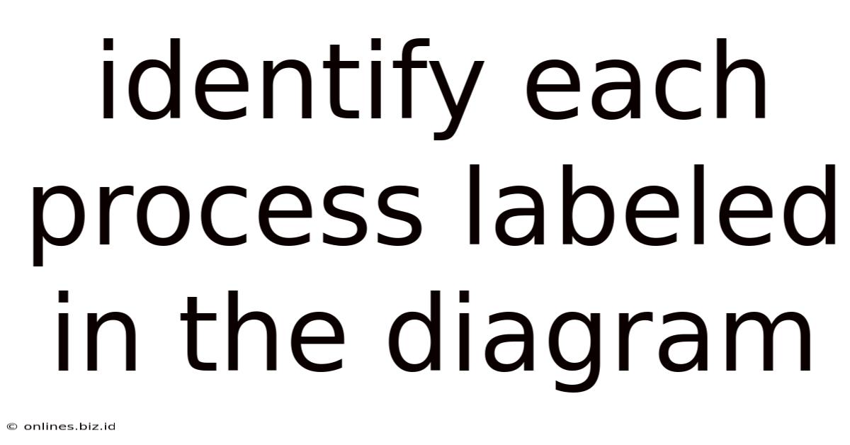 Identify Each Process Labeled In The Diagram