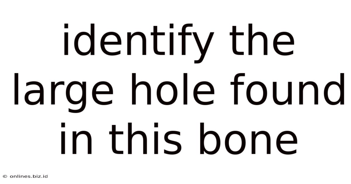 Identify The Large Hole Found In This Bone