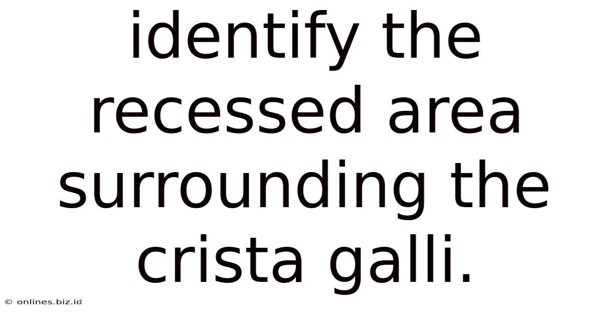 Identify The Recessed Area Surrounding The Crista Galli.
