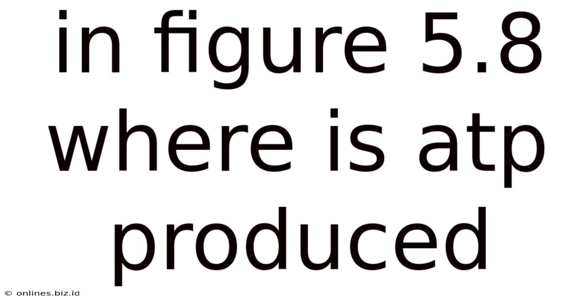 In Figure 5.8 Where Is Atp Produced