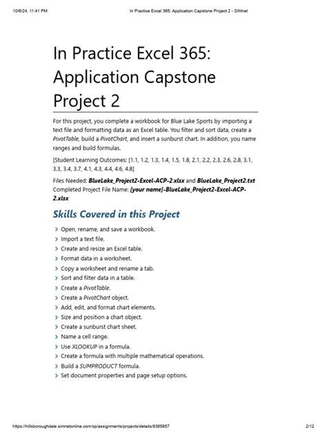 In Practice Excel 365 Application Capstone Project 2