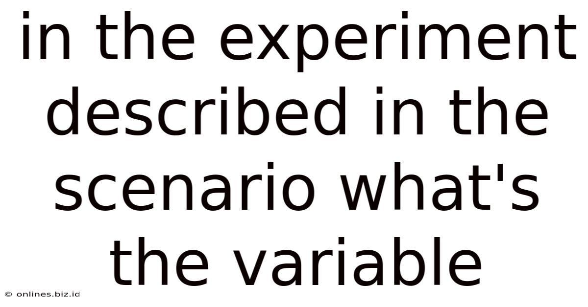 In The Experiment Described In The Scenario What's The Variable