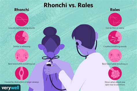 In The Term Rhonchus The Root Rhonch Means