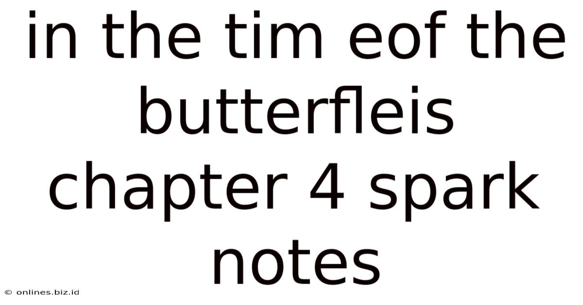 In The Tim Eof The Butterfleis Chapter 4 Spark Notes