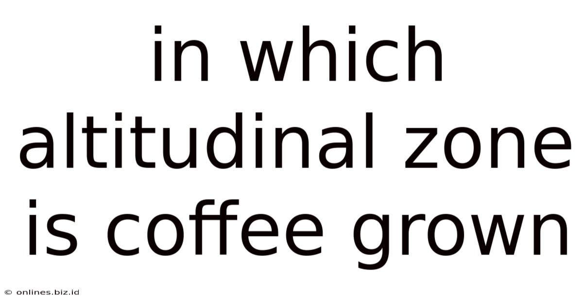In Which Altitudinal Zone Is Coffee Grown