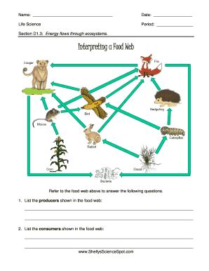 Interpreting A Food Web Answer Key