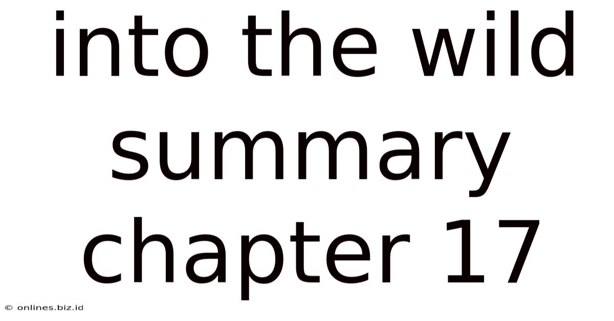 Into The Wild Summary Chapter 17