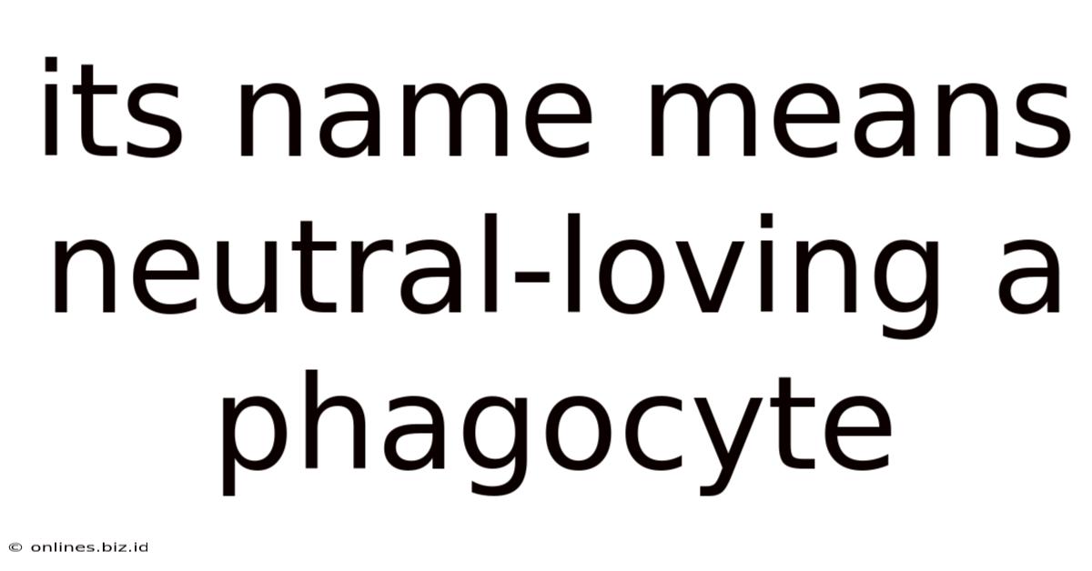 Its Name Means Neutral-loving A Phagocyte