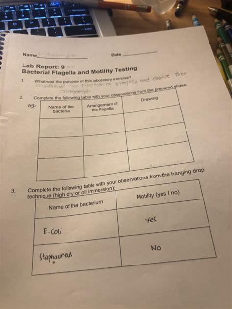 Lab Report 9 Bacterial Flagella And Motility Testing