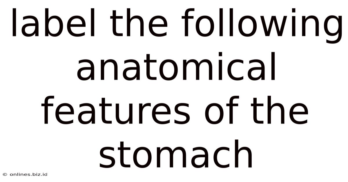 Label The Following Anatomical Features Of The Stomach