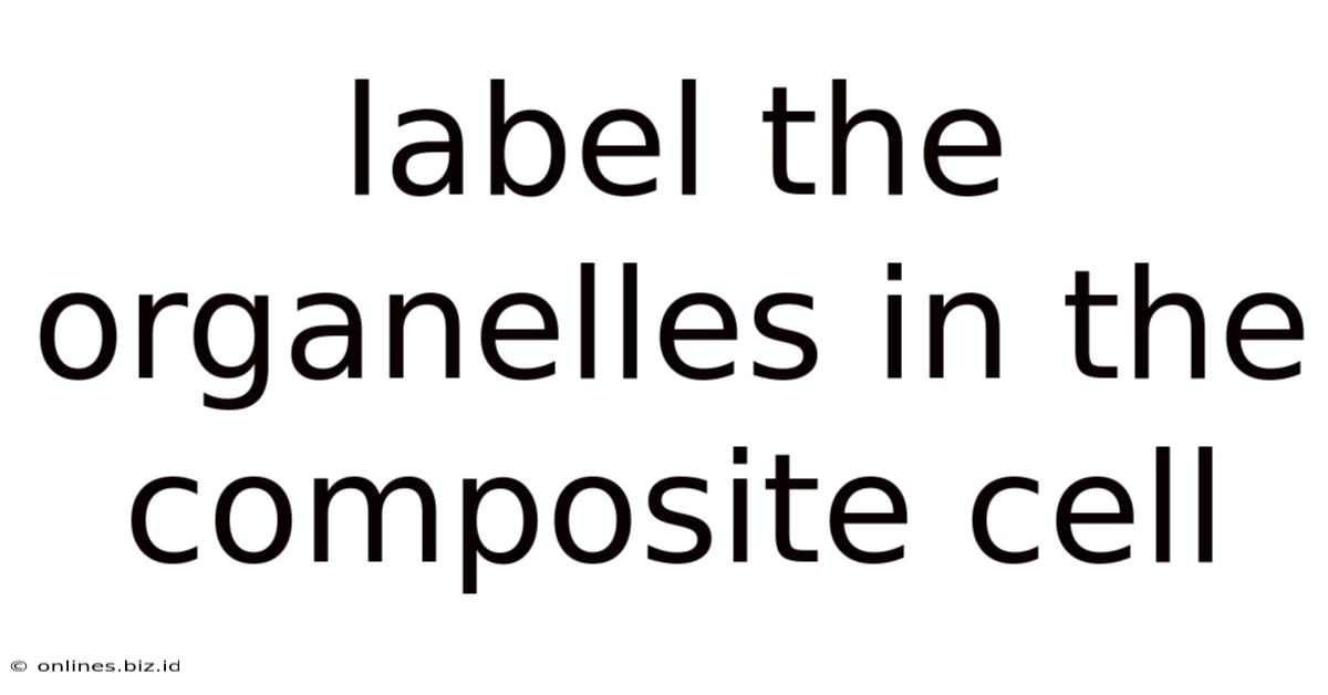 Label The Organelles In The Composite Cell