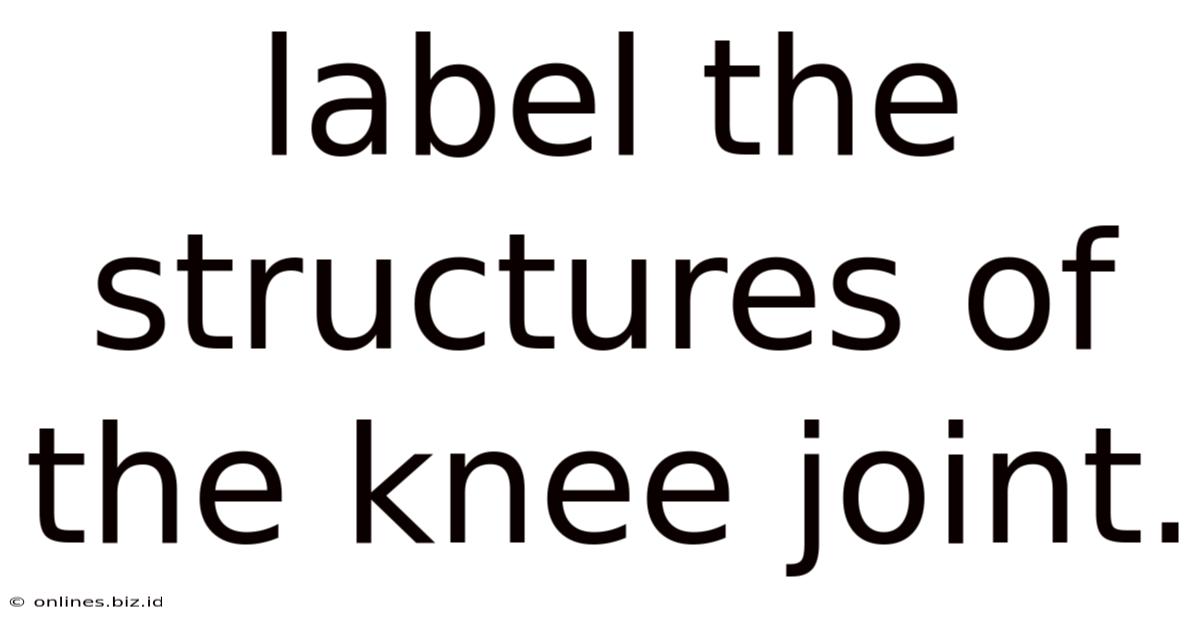 Label The Structures Of The Knee Joint.