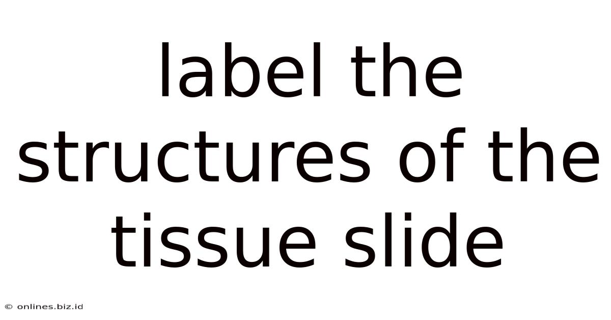 Label The Structures Of The Tissue Slide