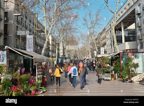 Las Ramblas Es Un Bulevar Muy Famoso En Madrid