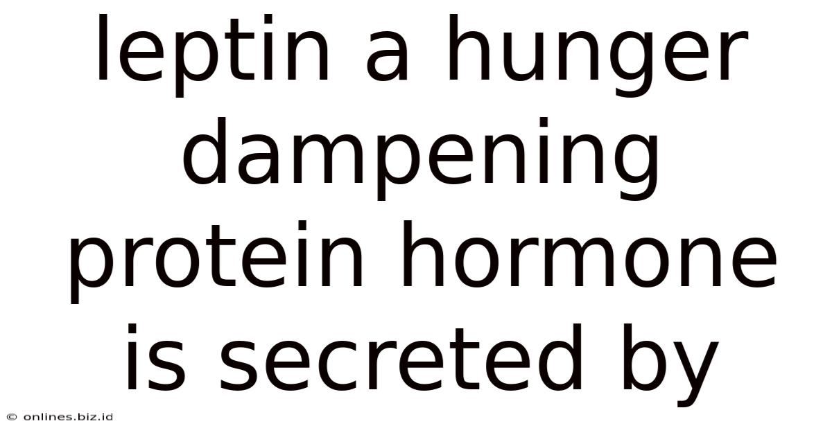 Leptin A Hunger Dampening Protein Hormone Is Secreted By