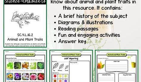 Lesson 4 Student Activity Sheet Answers