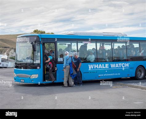 Los Turistas Viajar En Un Autobús