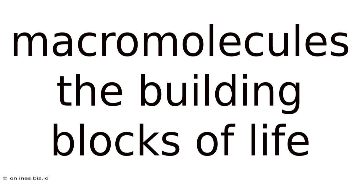 Macromolecules The Building Blocks Of Life