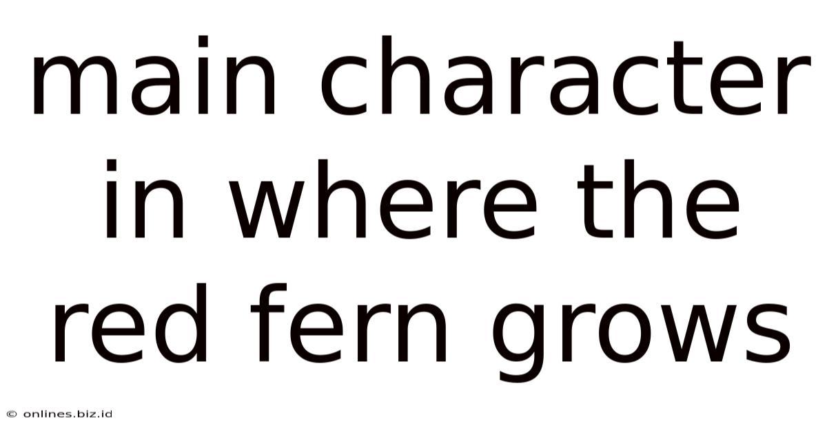 Main Character In Where The Red Fern Grows