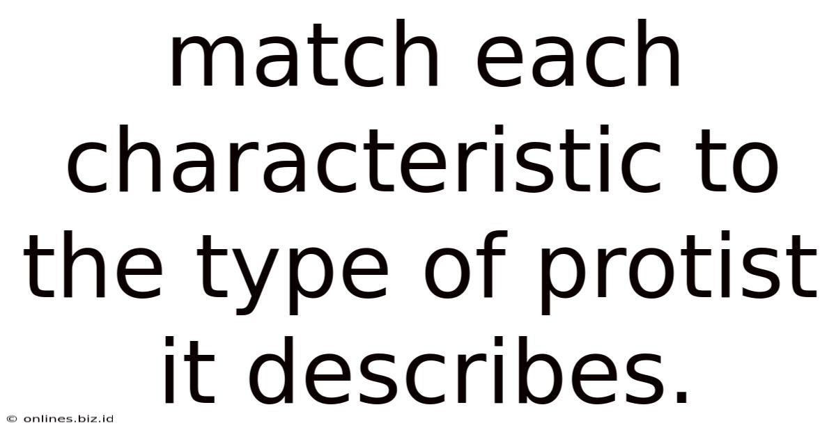 Match Each Characteristic To The Type Of Protist It Describes.